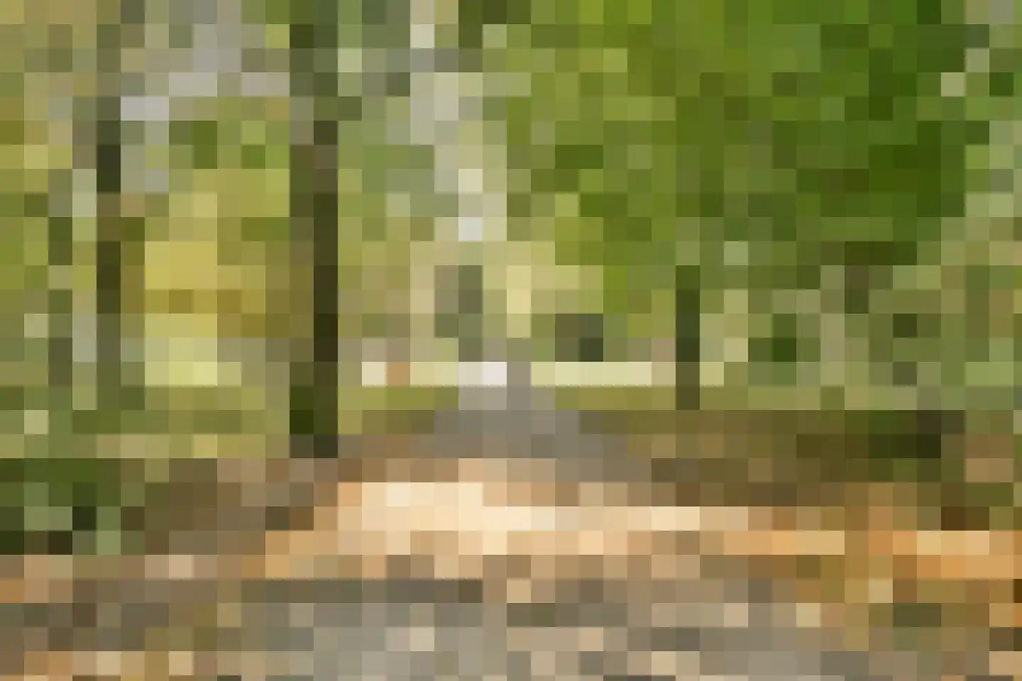 Van Nijenrodeweg 47 Amsterdam thumbnail 27