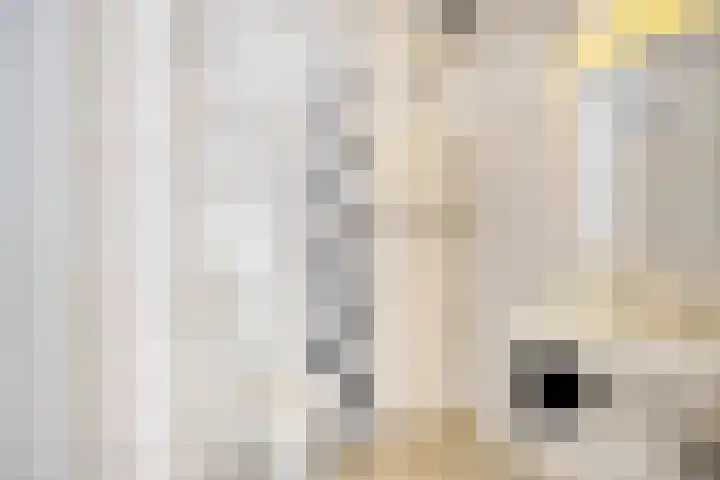 Van Nijenrodeweg 513 Amsterdam thumbnail 14