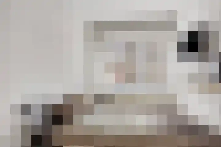 Van Nijenrodeweg 6 Amsterdam thumbnail 12