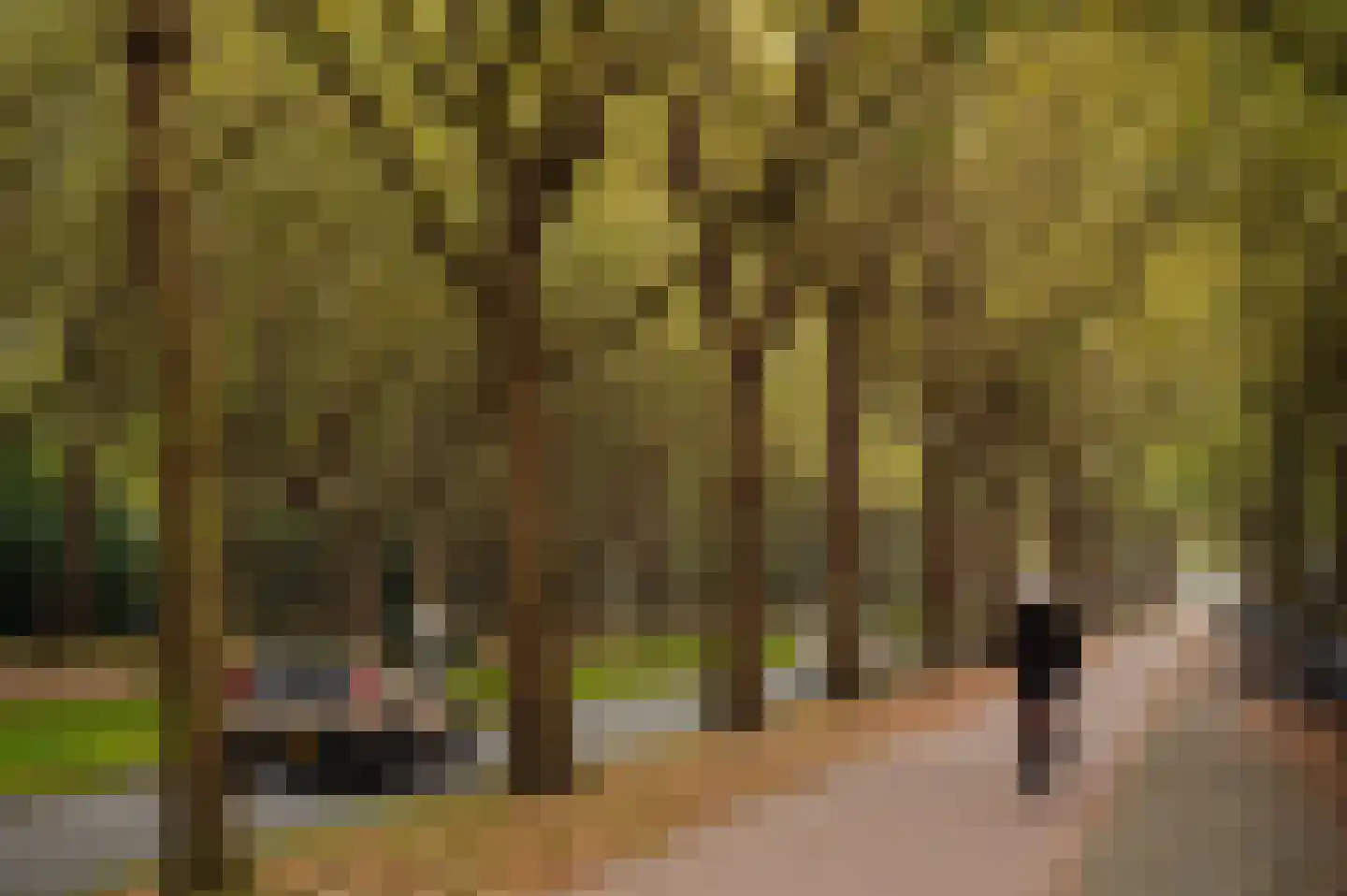 Van Nijenrodeweg 610 Amsterdam thumbnail 29