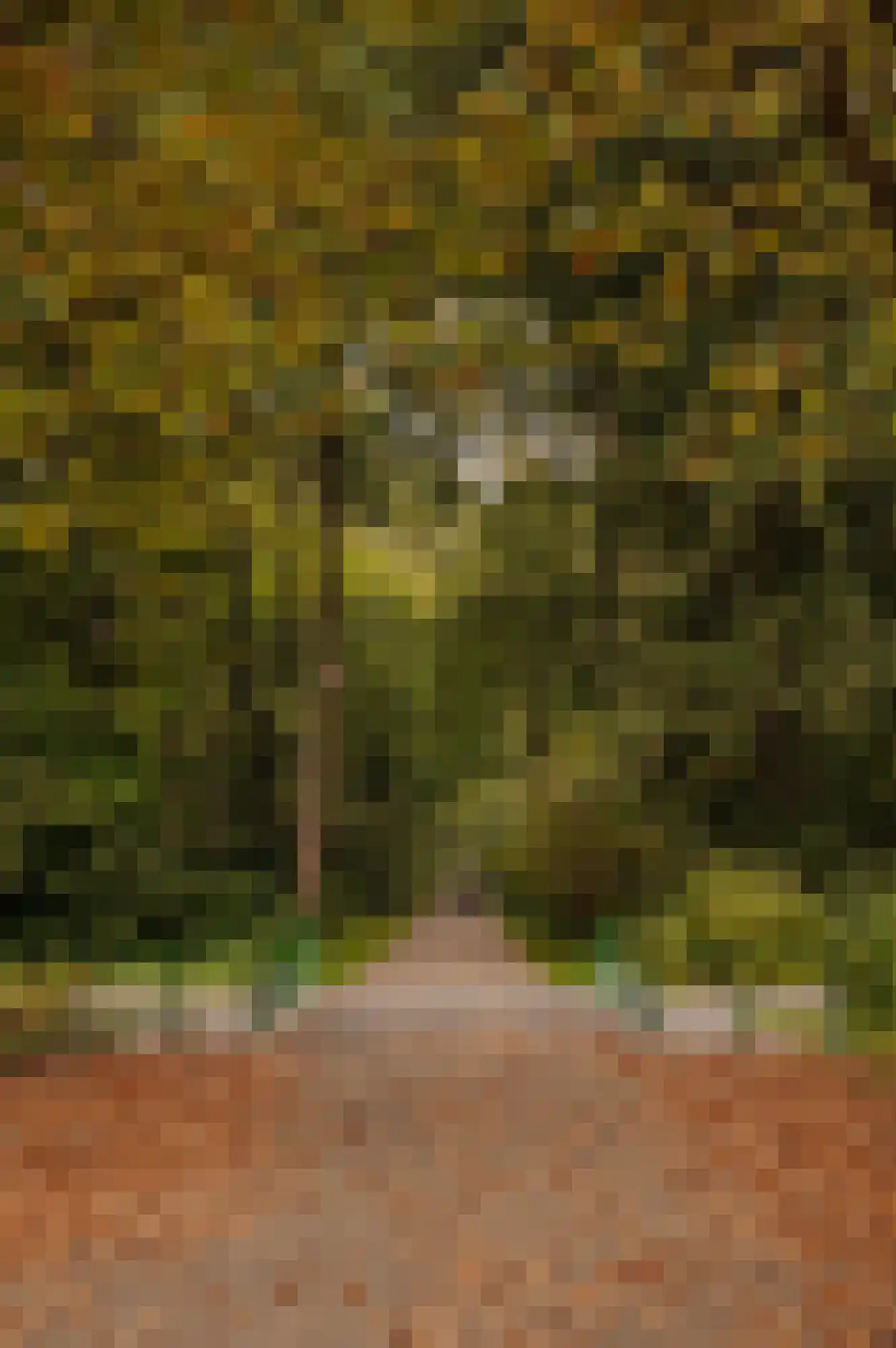 Van Nijenrodeweg 610 Amsterdam thumbnail 30