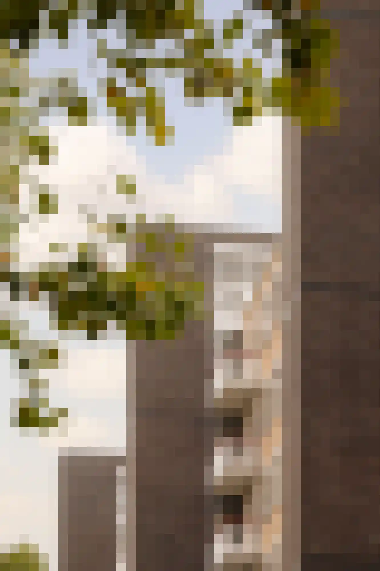 Van Nijenrodeweg 610 Amsterdam thumbnail 8