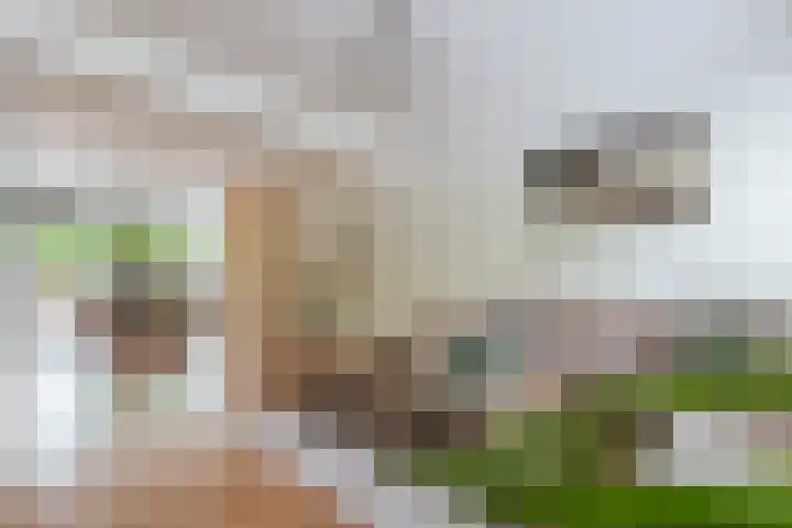 Van Nijenrodeweg 618 Amsterdam thumbnail 4