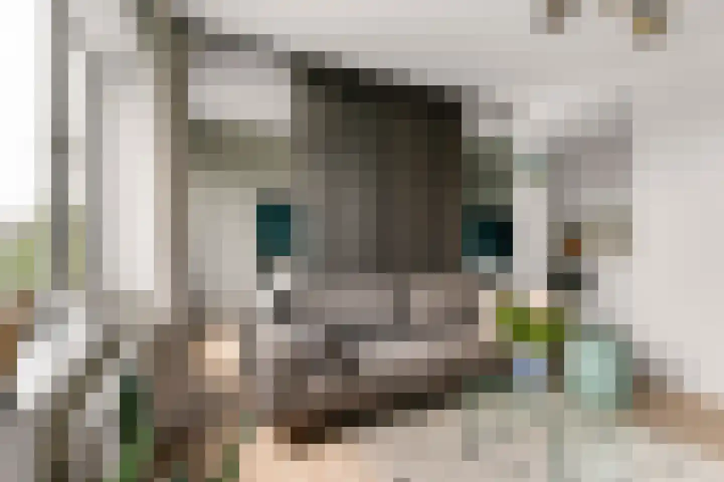 Van Nijenrodeweg 62 Amsterdam thumbnail 7