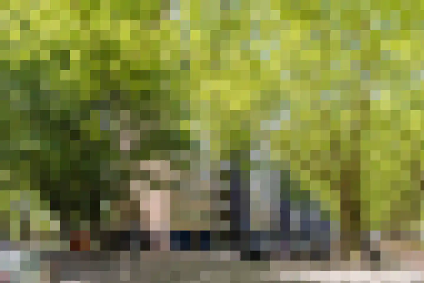 Van Nijenrodeweg 652 Amsterdam thumbnail 5