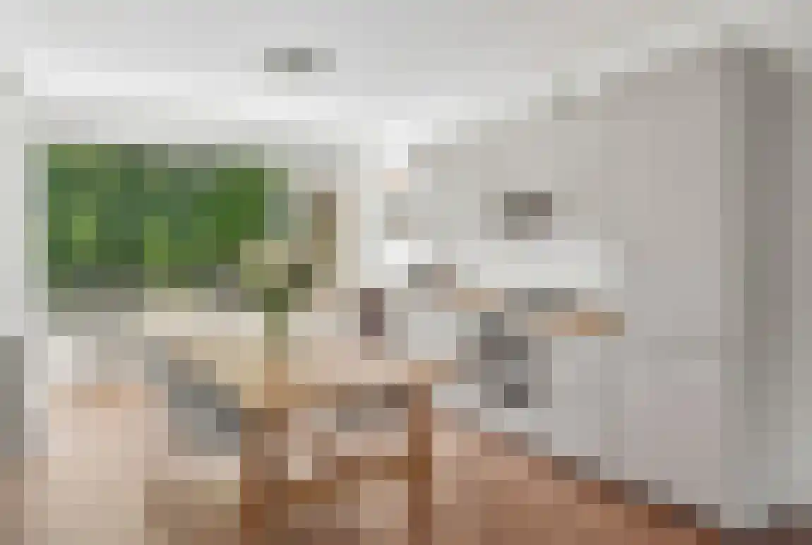 Van Nijenrodeweg 661 Amsterdam thumbnail 4