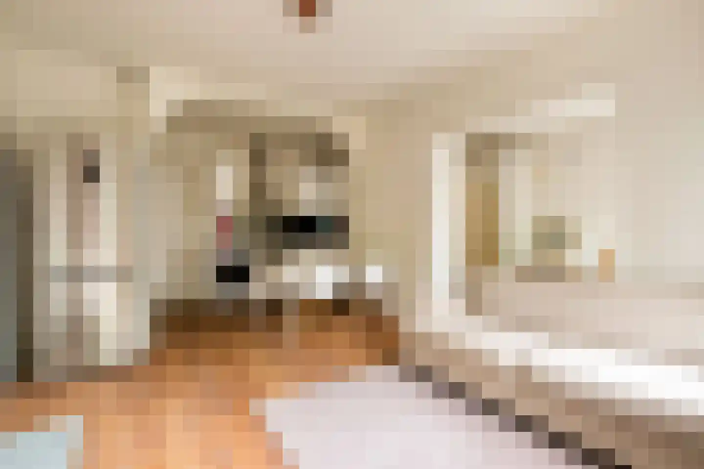 Van Nijenrodeweg 668 Amsterdam thumbnail 4