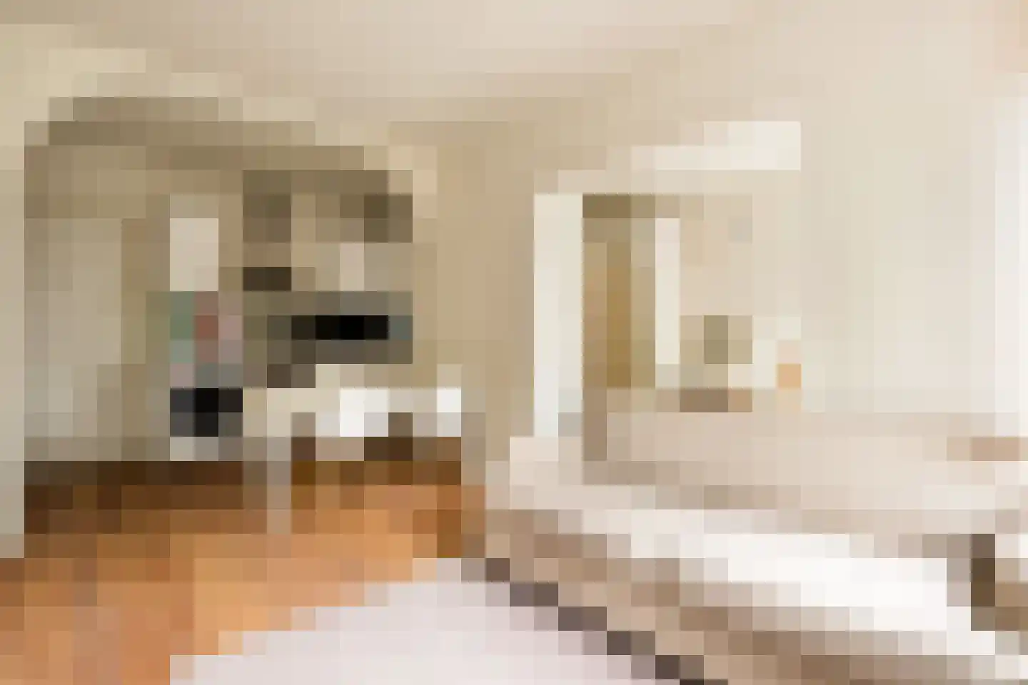Van Nijenrodeweg 668 Amsterdam thumbnail 7