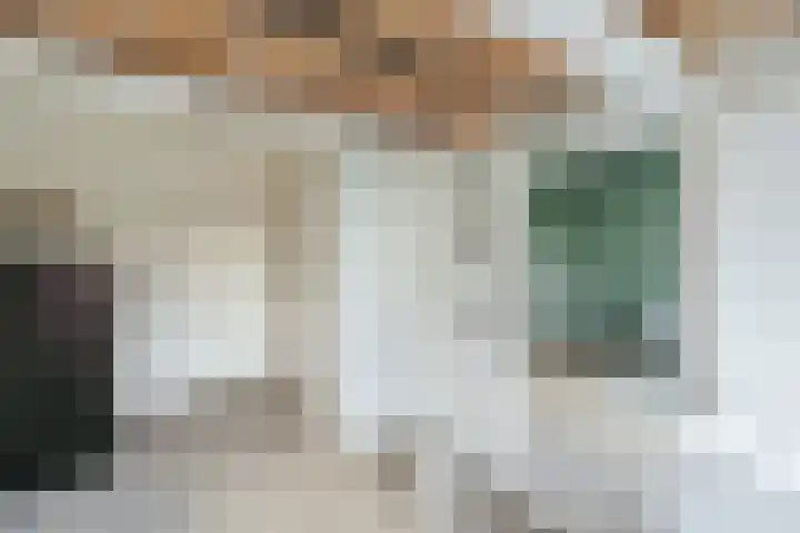 Van Nijenrodeweg 669 Amsterdam thumbnail 11