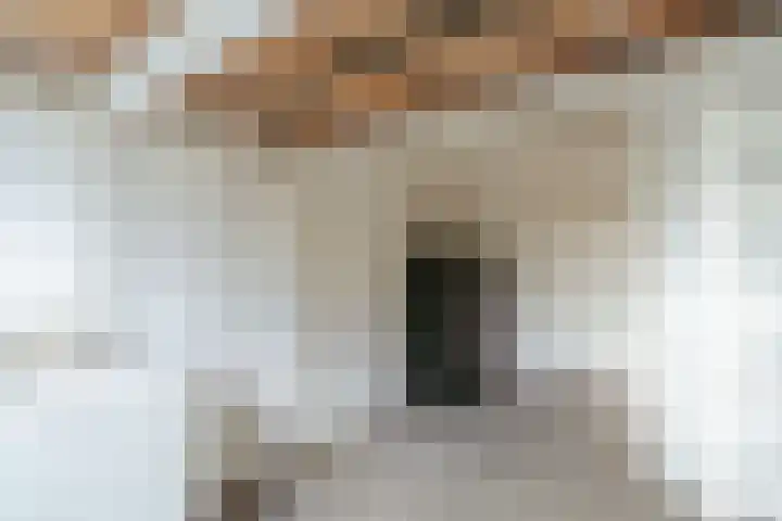 Van Nijenrodeweg 669 Amsterdam thumbnail 13