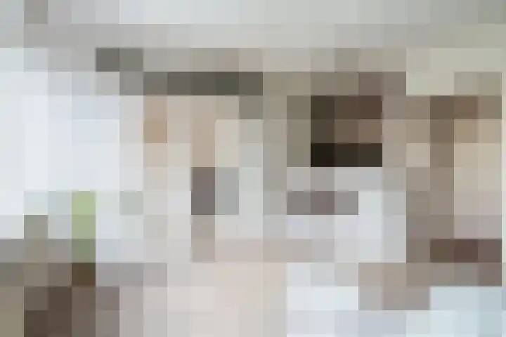 Van Nijenrodeweg 669 Amsterdam thumbnail 4
