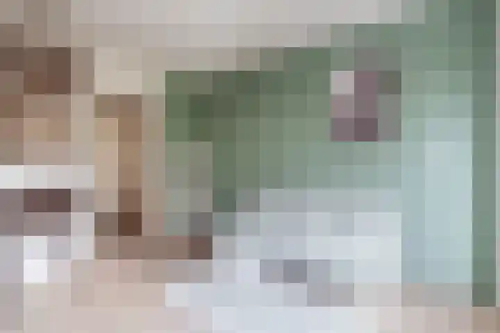 Van Nijenrodeweg 669 Amsterdam thumbnail 5