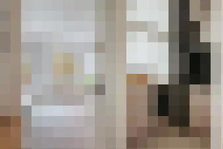 Van Nijenrodeweg 669 Amsterdam thumbnail 6