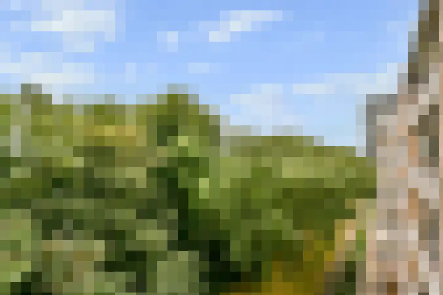 Van Nijenrodeweg 677 Amsterdam thumbnail 9