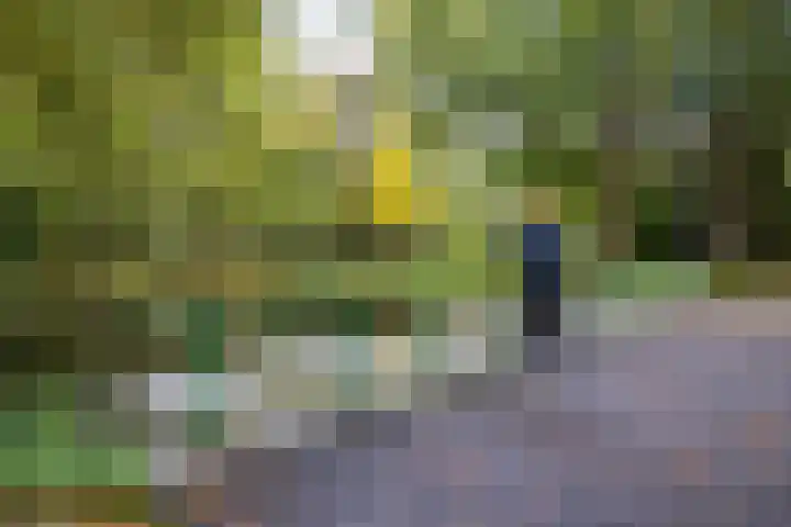 Van Nijenrodeweg 678 Amsterdam thumbnail 46