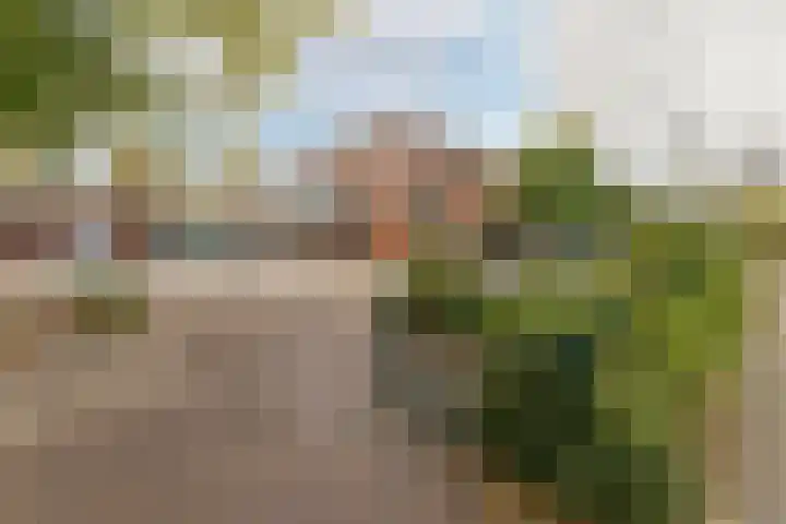 Van Nijenrodeweg 678 Amsterdam thumbnail 47
