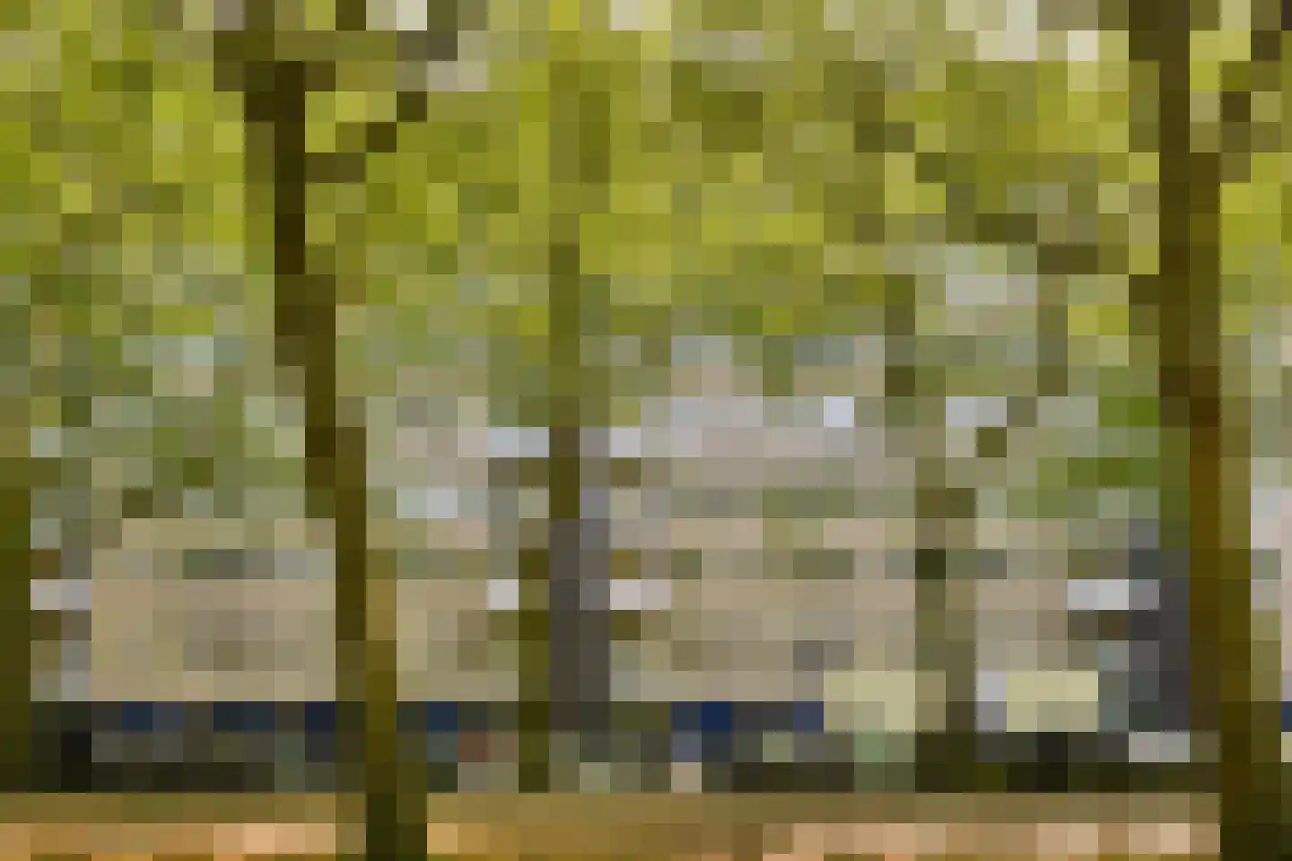 Van Nijenrodeweg 697 Amsterdam thumbnail 5