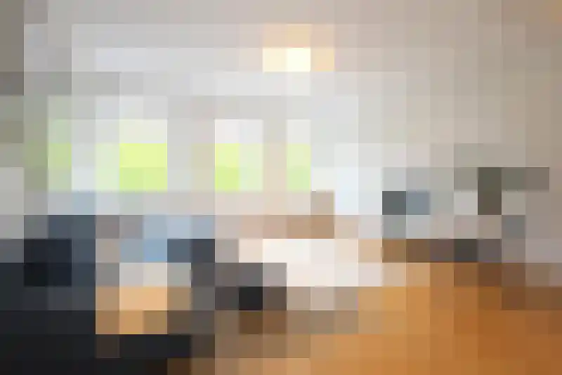 Van Nijenrodeweg 698 Amsterdam thumbnail 8