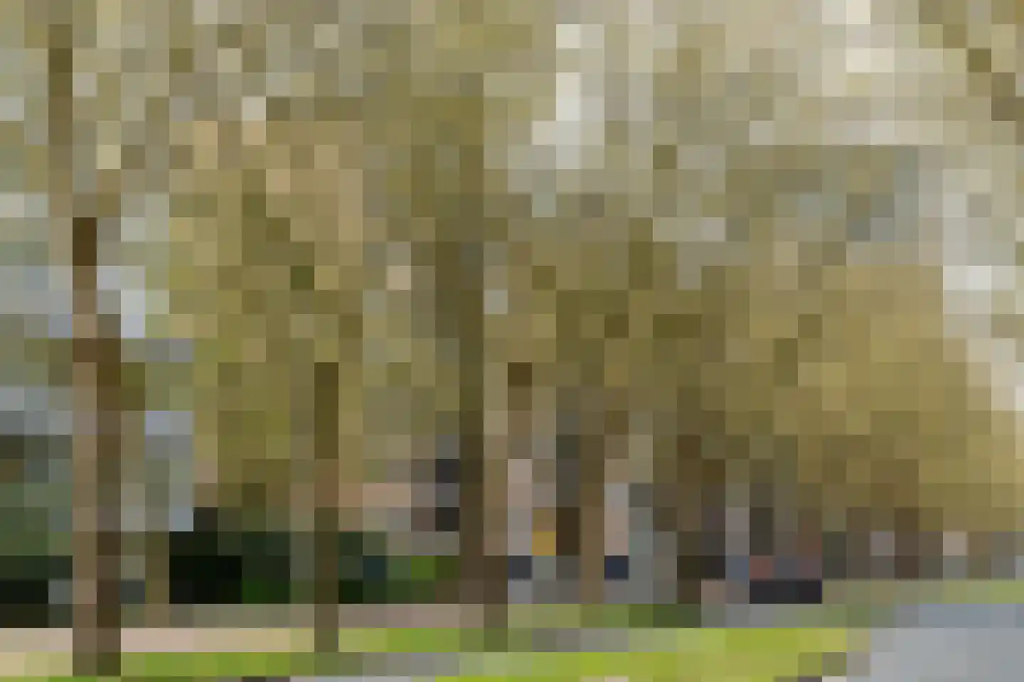 Van Nijenrodeweg 705 Amsterdam thumbnail 30