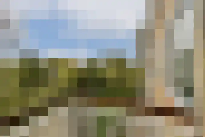 Van Nijenrodeweg 777 Amsterdam thumbnail 18