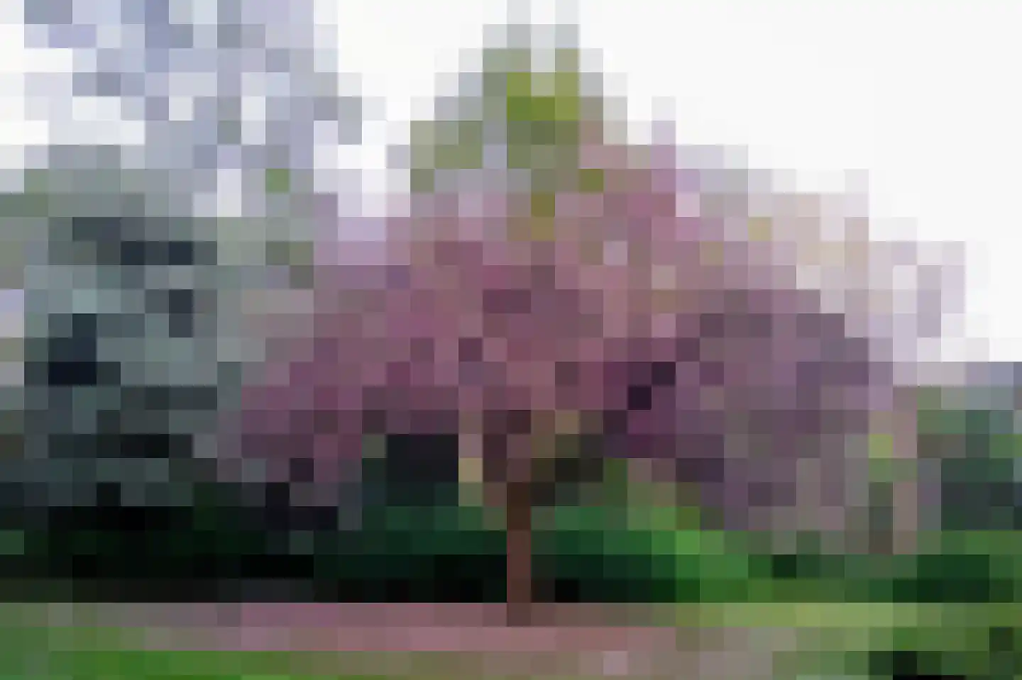 Van Nijenrodeweg 781 Amsterdam thumbnail 31