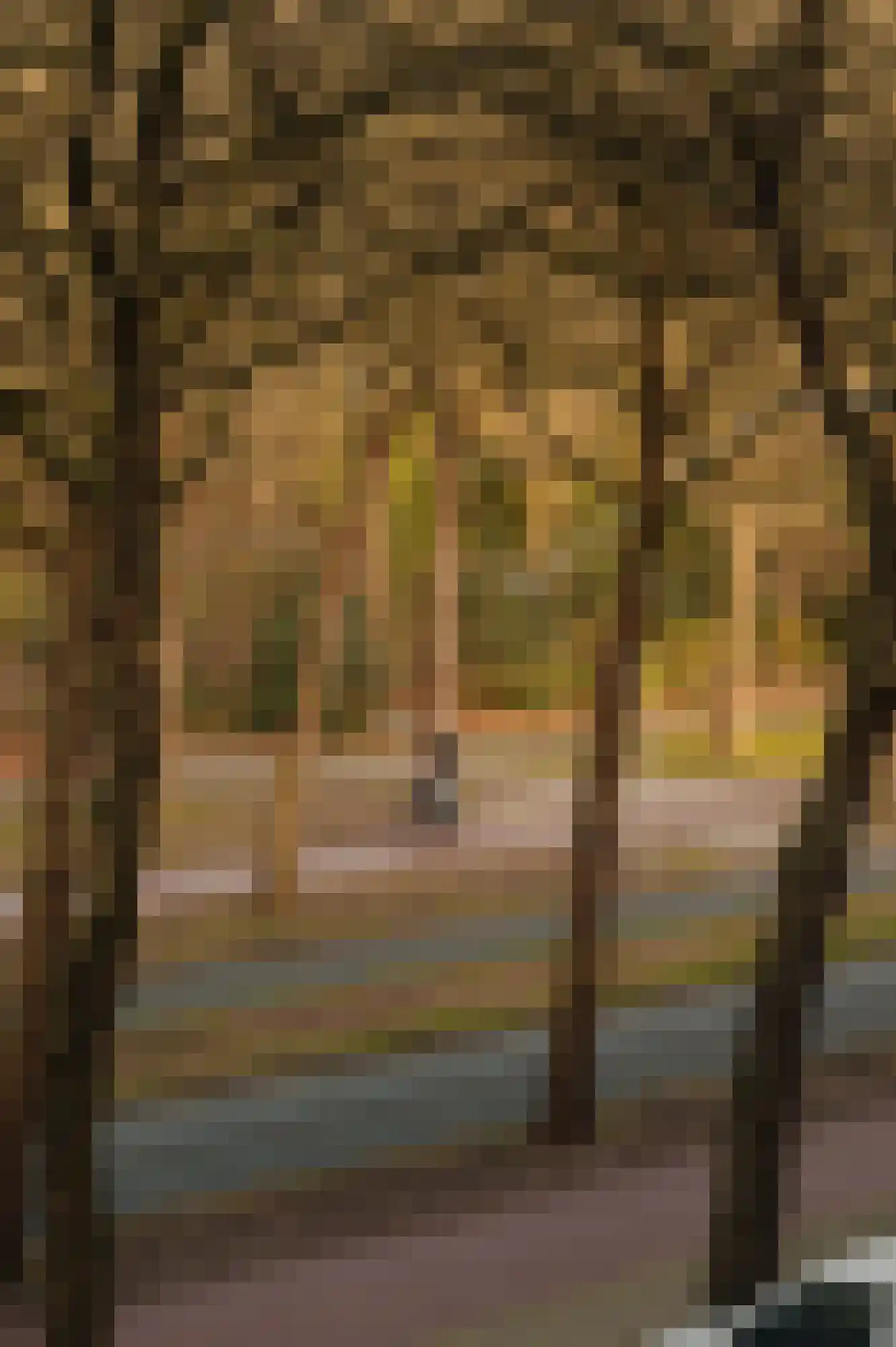 Van Nijenrodeweg 80 Amsterdam thumbnail 20
