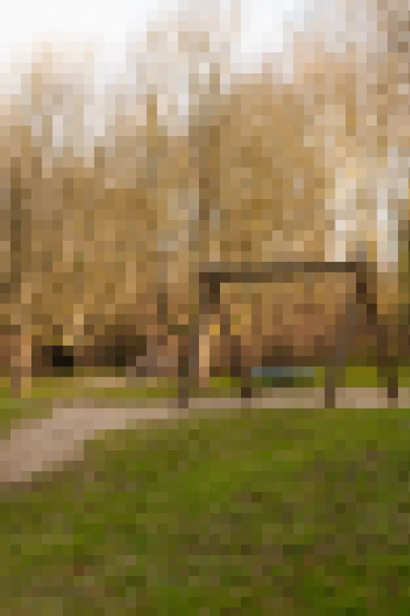 Van Nijenrodeweg 80 Amsterdam thumbnail 23