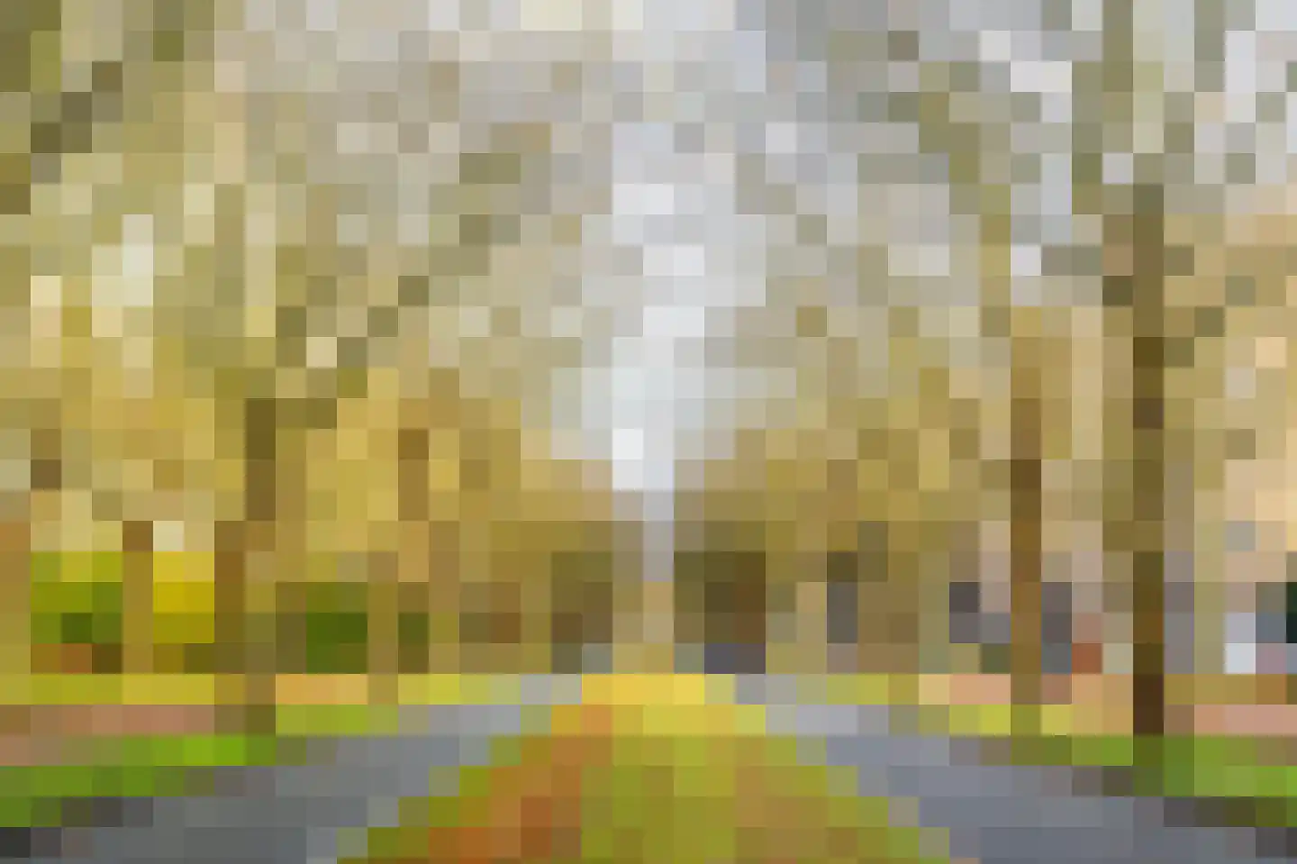 Van Nijenrodeweg 801 Amsterdam thumbnail 26