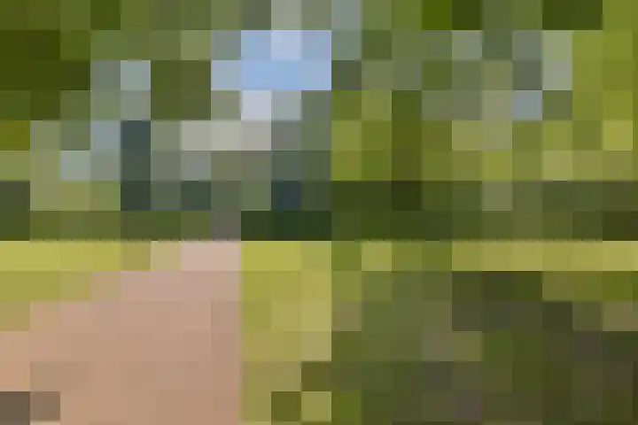 Van Nijenrodeweg 858 Amsterdam thumbnail 31