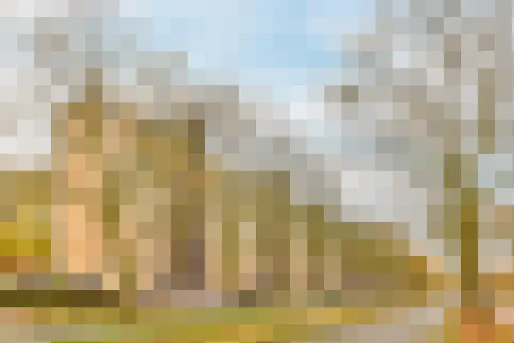 Van Nijenrodeweg Amsterdam thumbnail 4