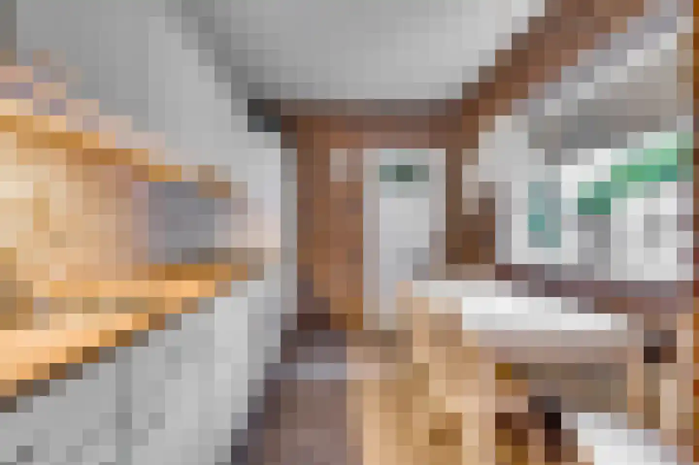 van Nijvenheimstraat 11 Venlo thumbnail 12