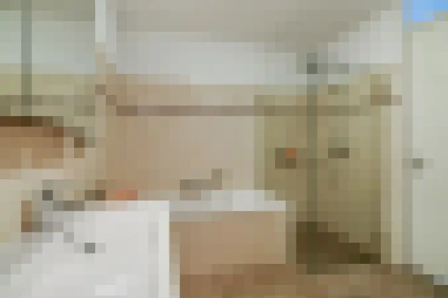 van Nispen tot Pannerdenplantsoen 10 Doorwerth thumbnail 26