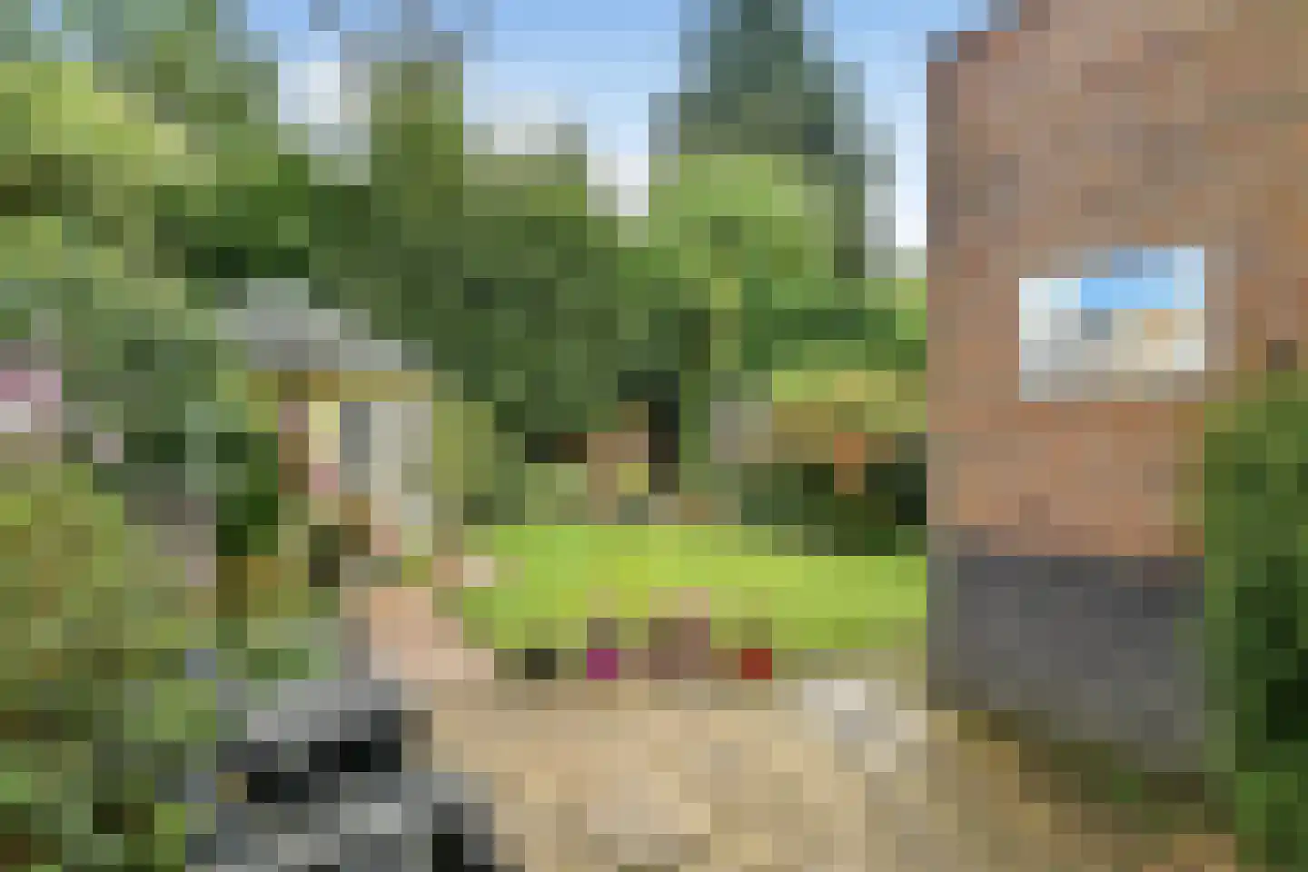van Nispen tot Pannerdenplantsoen 10 Doorwerth thumbnail 33
