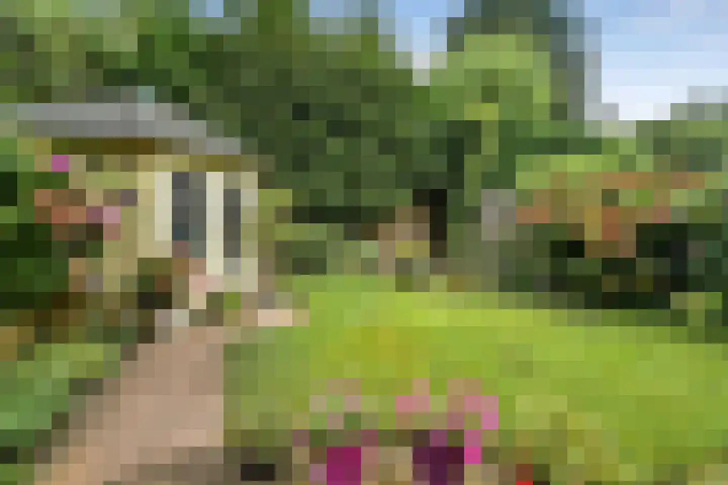 van Nispen tot Pannerdenplantsoen 10 Doorwerth thumbnail 4