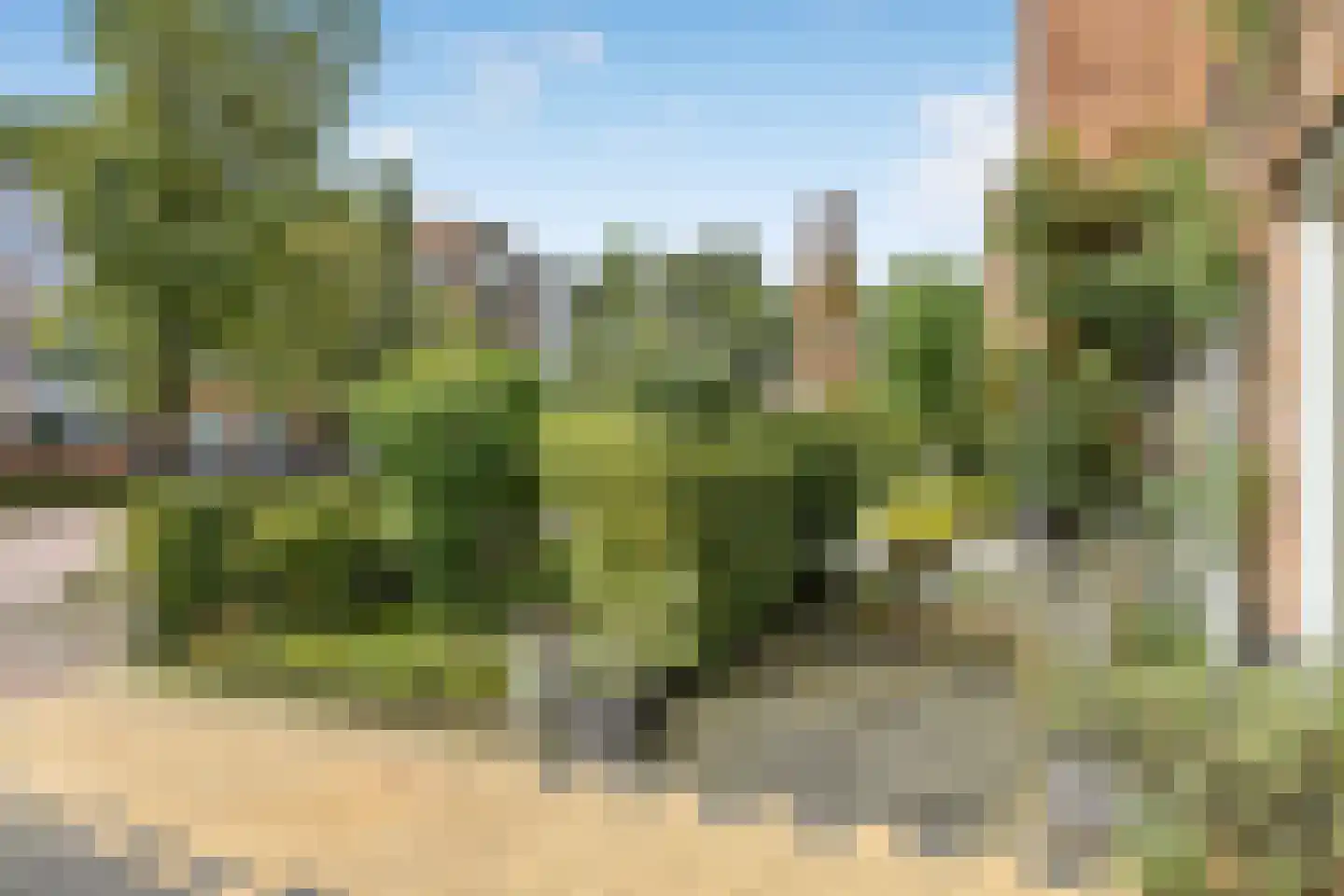 van Nispen tot Pannerdenplantsoen 10 Doorwerth thumbnail 6