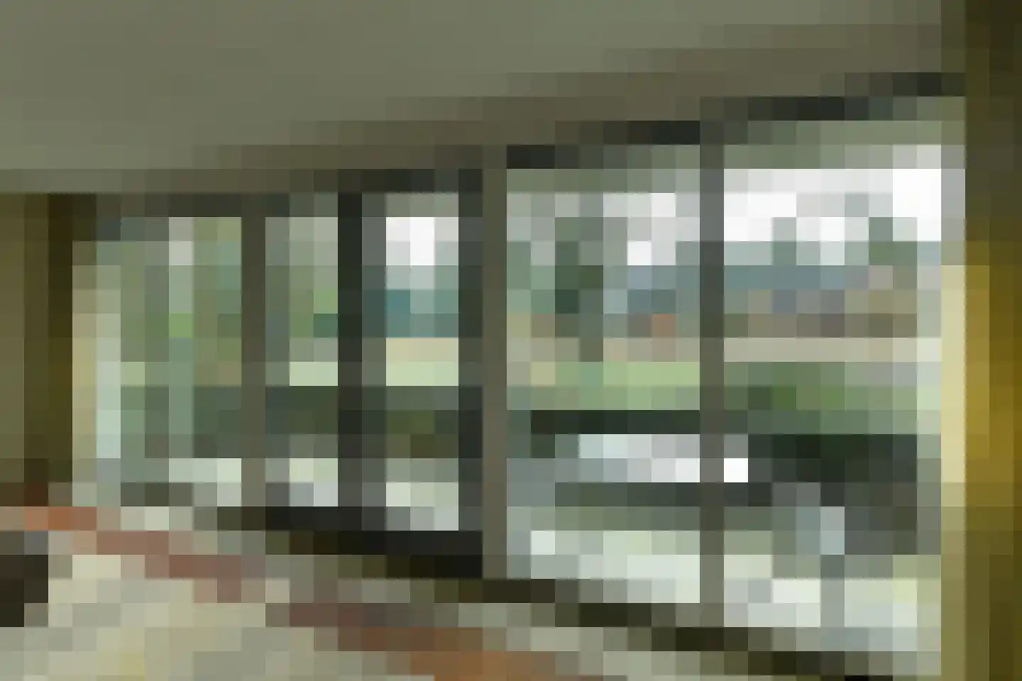 van Nispen tot Pannerdenplantsoen 57 Doorwerth thumbnail 27