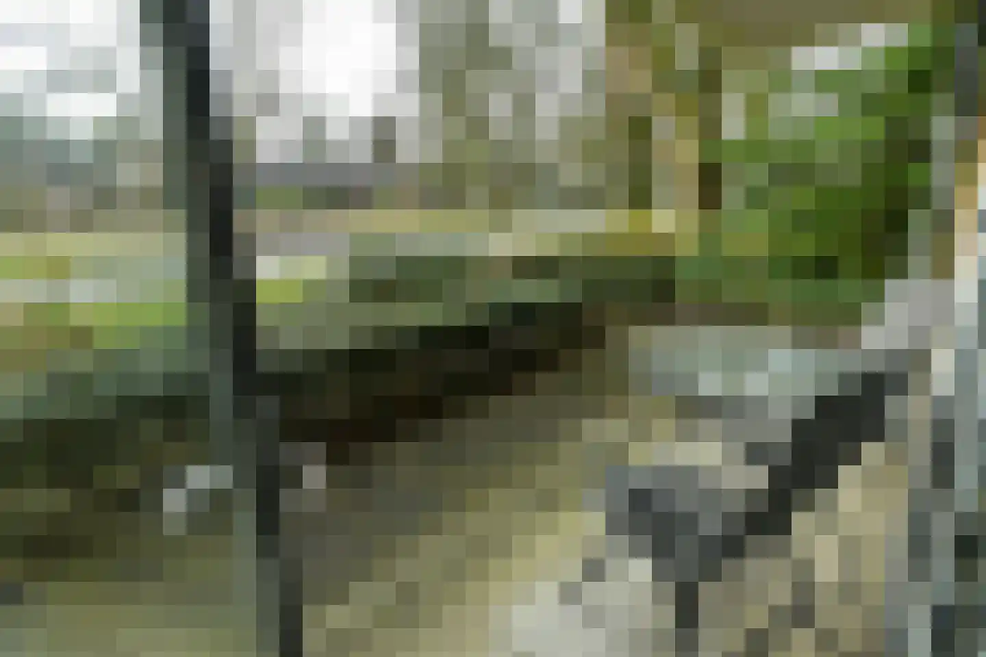 van Nispen tot Pannerdenplantsoen 57 Doorwerth thumbnail 29