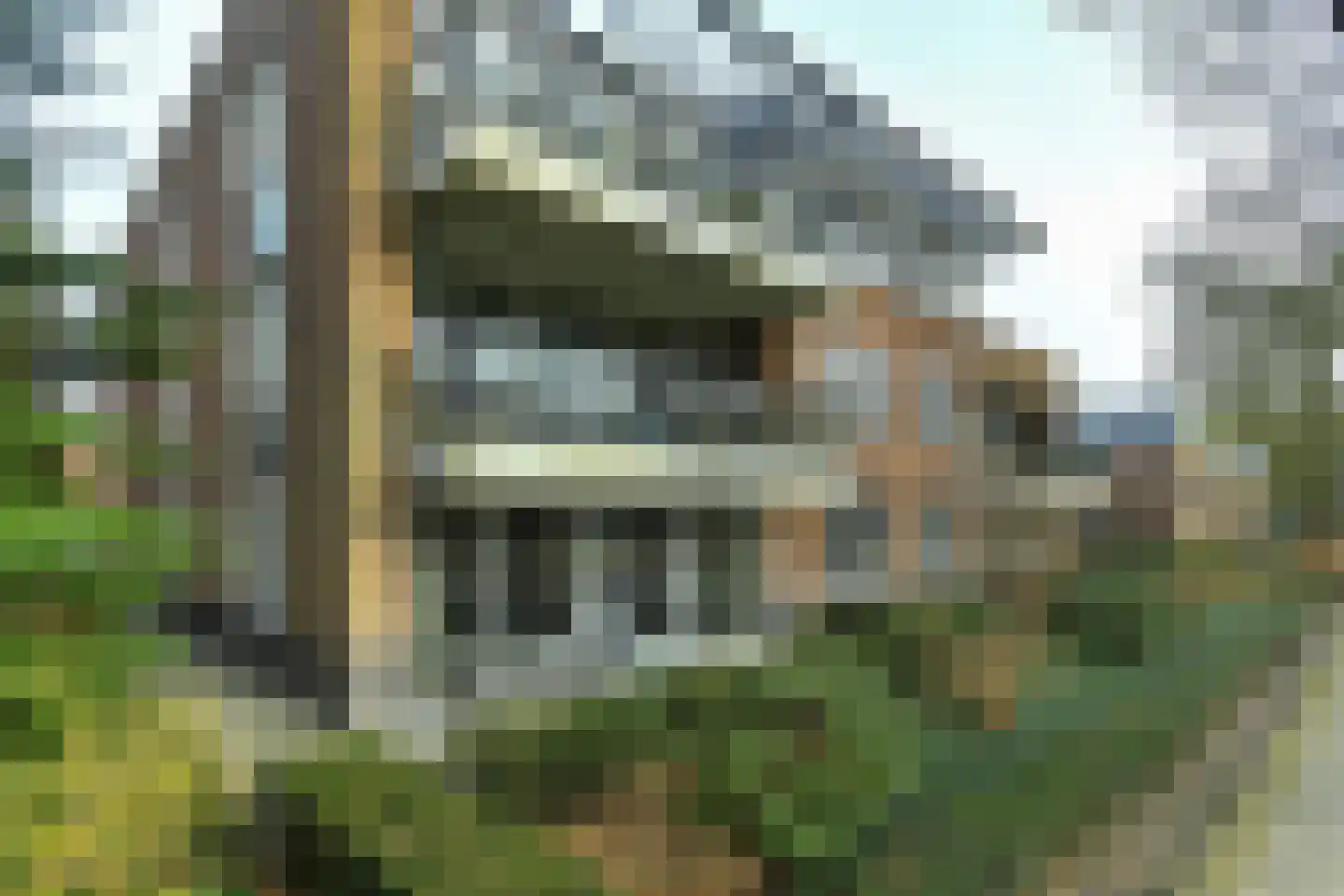 van Nispen tot Pannerdenplantsoen 57 Doorwerth thumbnail 33