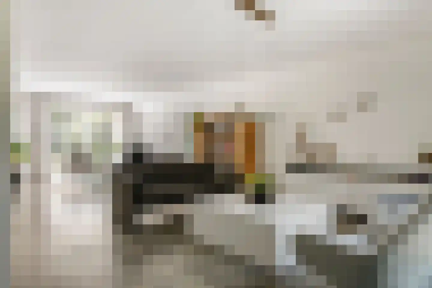 van Nispen tot Pannerdenplantsoen 6 Doorwerth thumbnail 11