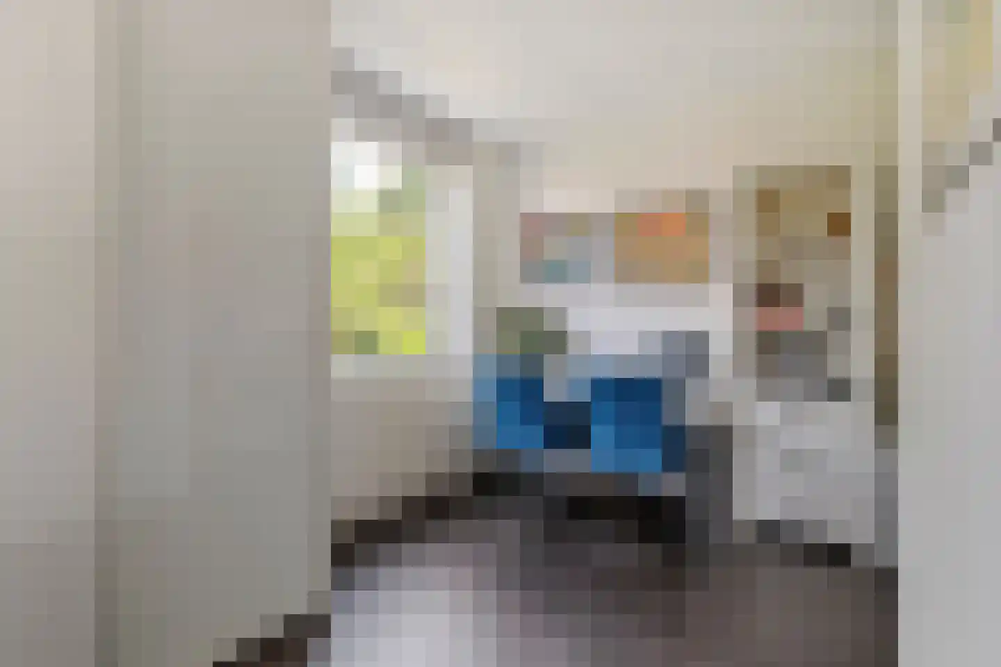 van Nispen tot Pannerdenplantsoen 6 Doorwerth thumbnail 17