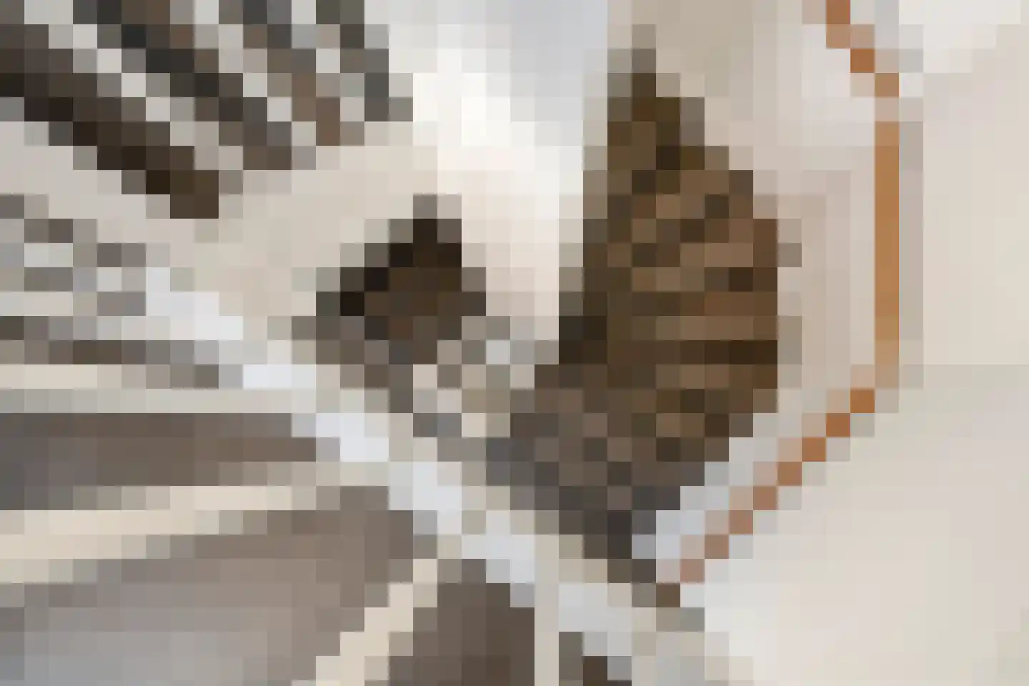 van Nispen tot Pannerdenplantsoen 6 Doorwerth thumbnail 28