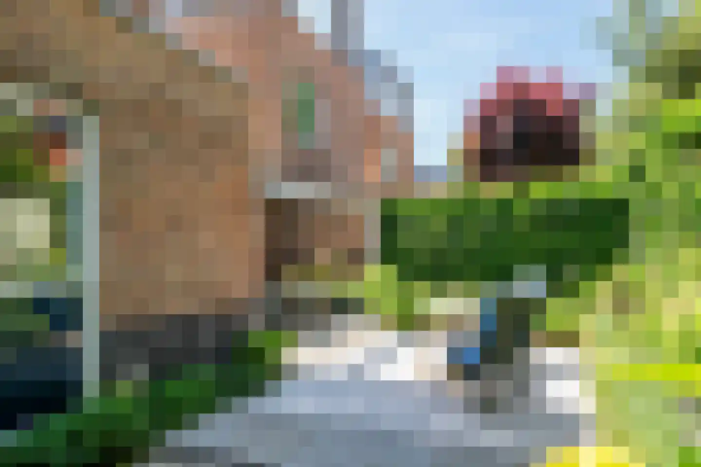 van Nispen tot Pannerdenplantsoen 6 Doorwerth thumbnail 33