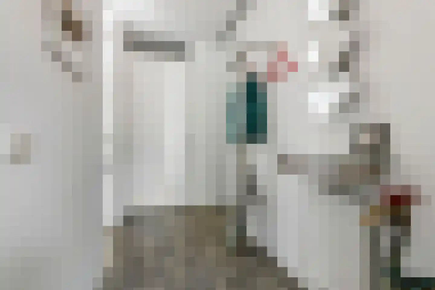 van Nispen tot Pannerdenplantsoen 6 Doorwerth thumbnail 5