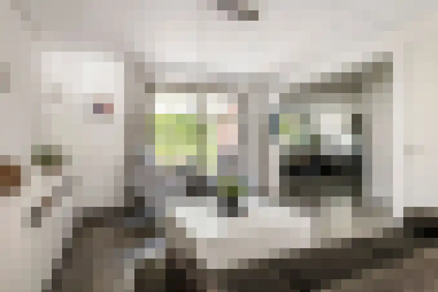 van Nispen tot Pannerdenplantsoen 6 Doorwerth thumbnail 7