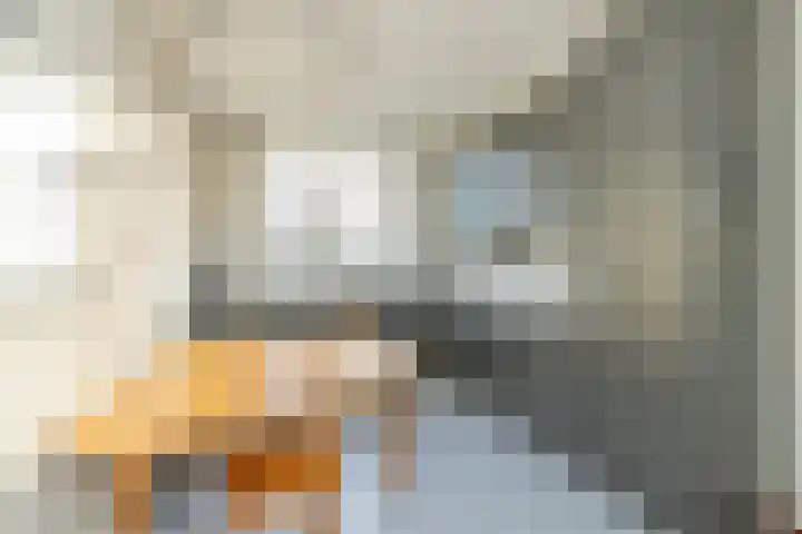 Van Nispenpark 20 Hillegom thumbnail 14