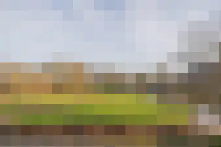 Van Nispenpark 20 Hillegom thumbnail 20