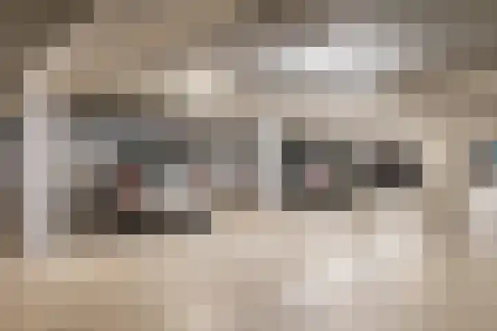 Van Nispenpark 20 Hillegom thumbnail 28