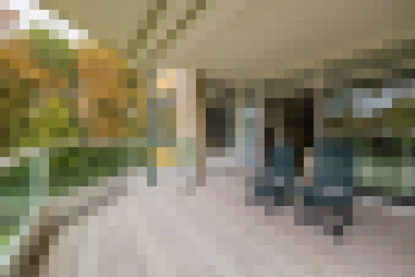 Van Nispenpark 4 Hillegom thumbnail 16