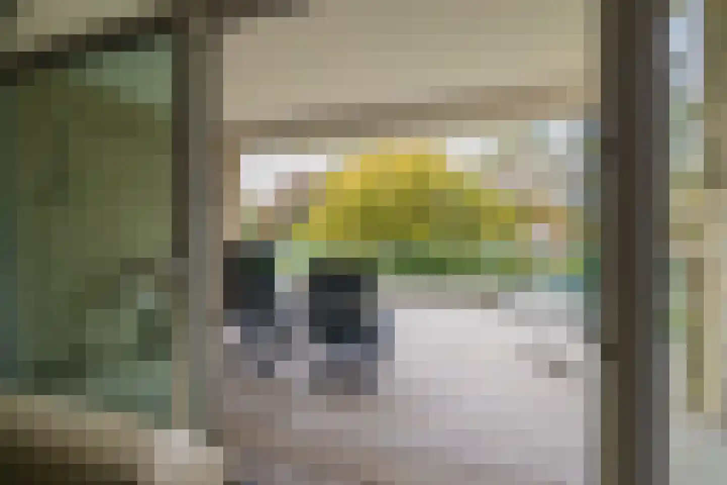 Van Nispenpark 4 Hillegom thumbnail 17