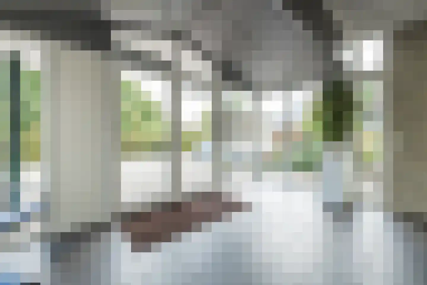 Van Nispenpark 4 Hillegom thumbnail 36
